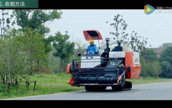 久保田(4LZ-4)PRO988Q联合收割机操作使用和维护保养指南-中