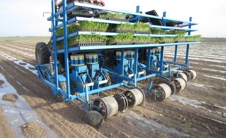 科神2ZB-6膜上移栽机