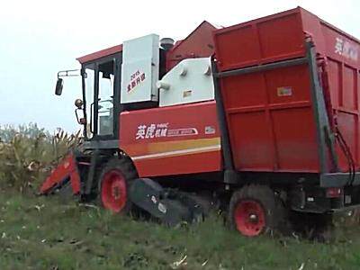 河北英虎全新款四行玉米收获机