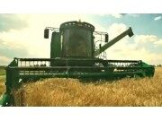 迪马DM800小麦收割机作业视频