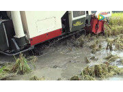 沃得锐龙收割机烂湿地作业视频