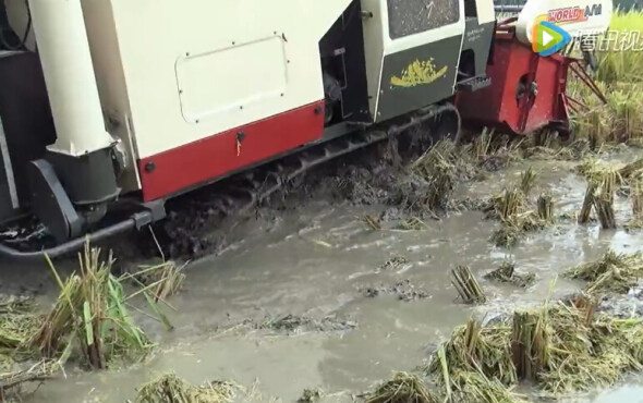 沃得锐龙收割机烂湿地作业视频