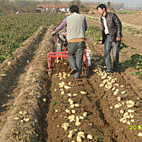 福民4US-70马铃薯收获机