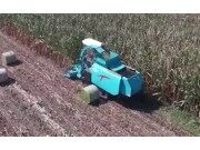 五征青贮机-让你的牛奶更安全