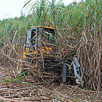中热农机SH15甘蔗收割机
