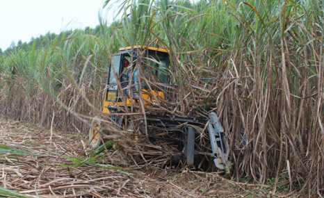 中热农机SH15甘蔗收割机