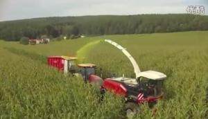 罗斯托夫RSM1403自走式青贮收割机作业视频