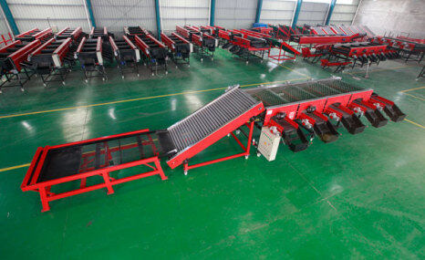 玛丽亚牌大蒜分选机