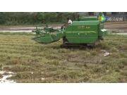 中联谷王PL50水稻机作业视频