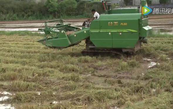 中联谷王PL50水稻机作业视频