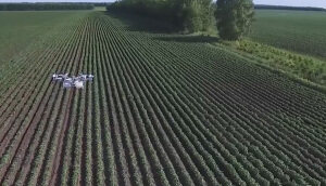 辽宁壮龙CT300-60P无人植保机黑龙江演示现场