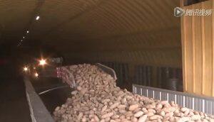 北京九方泰禾-斯巴德尼克美式马铃薯设备视频