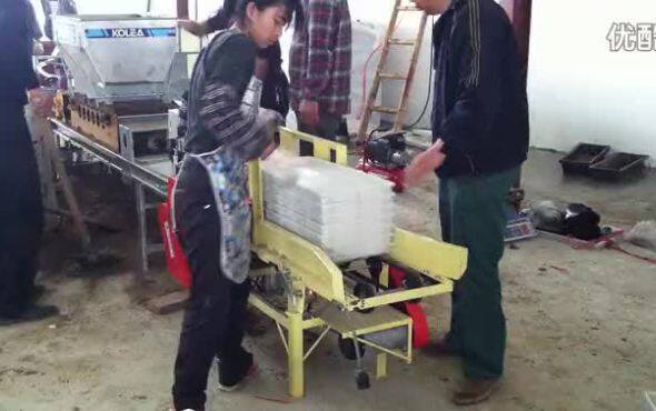 科利亚-育秧播种流程作业视频