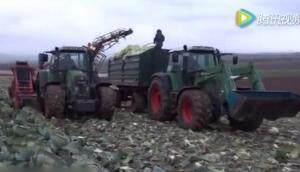 芬特牵引卷心菜收获作业-作业视频