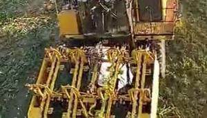 阿尔斯波CP400甜玉米下棒机-作业视频