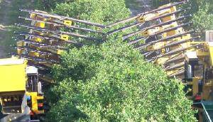 阿尔斯波(OXBO)企业发展史