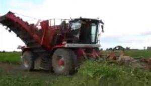 Vervaet公司617型甜菜收获机-作业视频