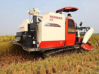 洋马AW85收割机作业视频
