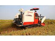 洋马AW85收割机作业视频