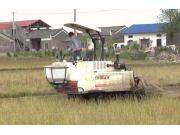 沃得猛龙三点式悬挂式作业视频