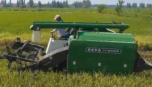 常发CF805N水稻收割演示会-产品讲解