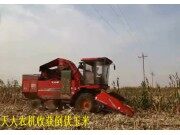 天人TR9988收获倒伏玉米作业视频