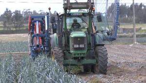 阿萨力PO 335大葱收获机