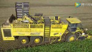 罗霸甜菜清选去土系统