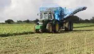 Edenhall公司753 3行牵引式甜菜收获机作业视频