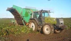 Armer公司3行牵引式甜菜收获机作业视频