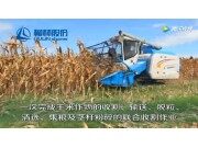 柳林玉米收割机演示现场视频