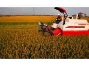 洋马全喂入收割机AW系列操作保养视频-1