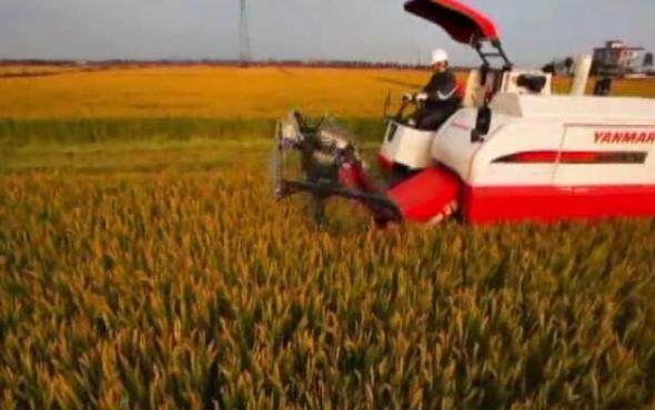 洋马全喂入收割机AW系列操作保养视频-1