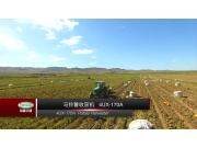 希森天成4UX-170A马铃薯收获机作业视频