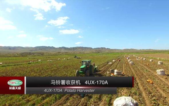 希森天成4UX-170A马铃薯收获机作业视频