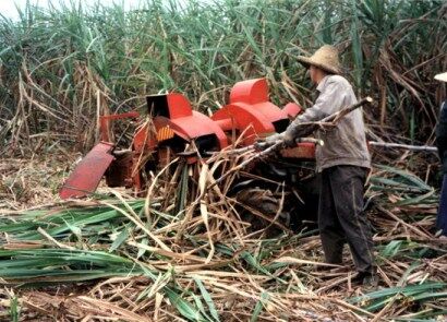 广西农机院4ZB-6甘蔗剥叶机