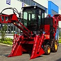 中首信4GQ-GZ206A甘蔗收割机
