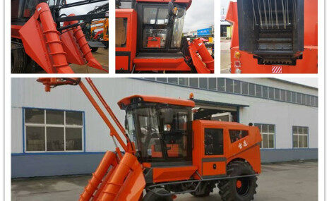 雷道4ZL-1A甘蔗收割机