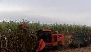 20年研发技术款甘蔗联合收割机