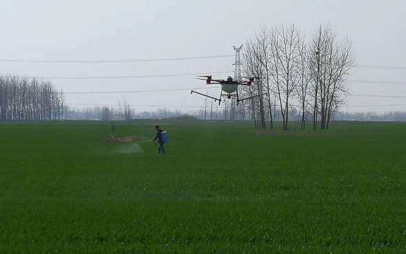 天鹰兄弟植保无人机小麦飞防作业视频