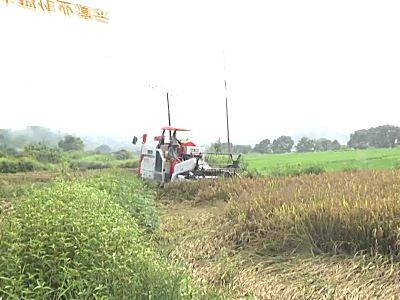 中联重机浙江-A8series水稻作业演示