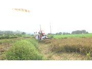 中联重机浙江-A8series水稻作业演示