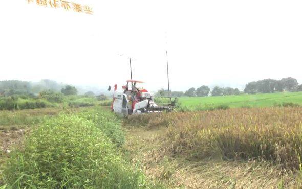 中联重机浙江-A8series水稻作业演示