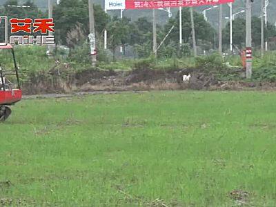 中联重机浙江-X2series旋耕作业演示