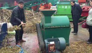 一科重工BSFS-40青贮揉丝机作业视频