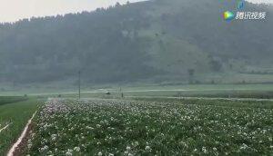 汉和航空水星一号植保无人机赤峰马铃薯作业视频