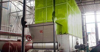 导热油炉/蒸汽锅炉