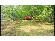 顶呱呱1GZL-107遥控管理机樱桃园旋耕视频