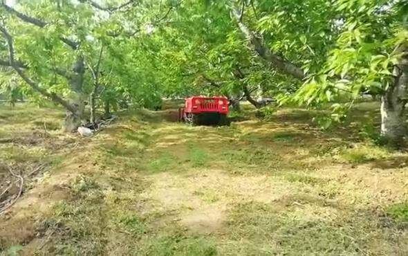 顶呱呱1GZL-107遥控管理机樱桃园旋耕视频