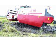 沃得锐龙4LZ-6.0E尊享版联合收割机泥泞田块收割视频